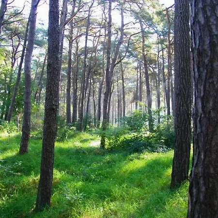 Ostseeduene - Ruegen *